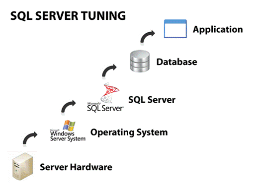 Vitae formará al área de Sistemas de Importante Consultora TI en SQL ...